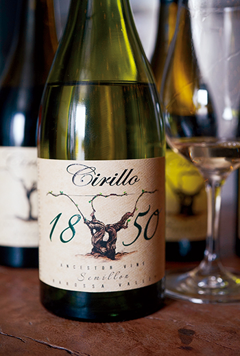 舉重若輕的老藤減法哲學