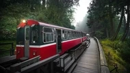 對台灣一見鍾情！法國旅遊記者最愛阿里山林鐵：難以忘懷的特殊存在