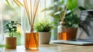 辦公桌上放什麼最療癒？上班族熱議8大小物