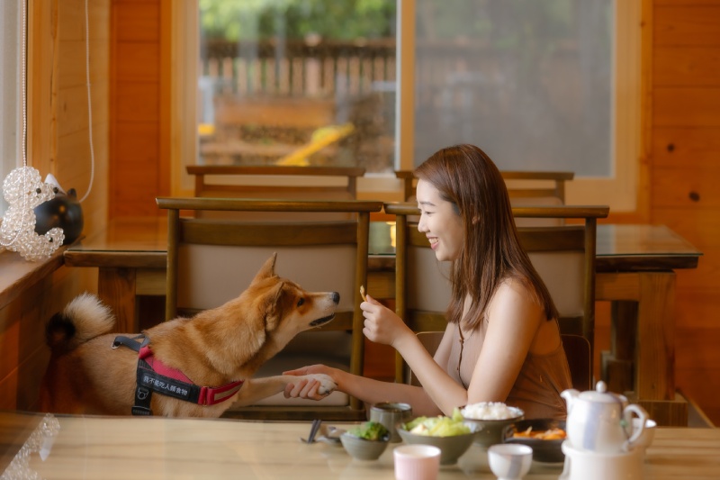 食指大動 竹縣療癒美食好Chill