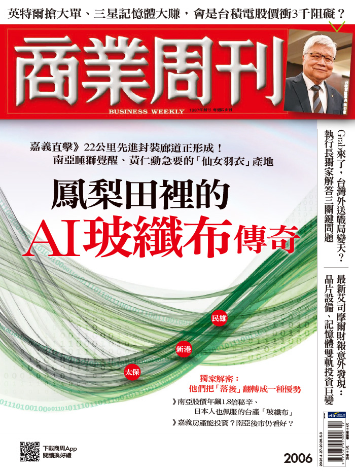 鳳梨田裡的AI玻纖布傳奇