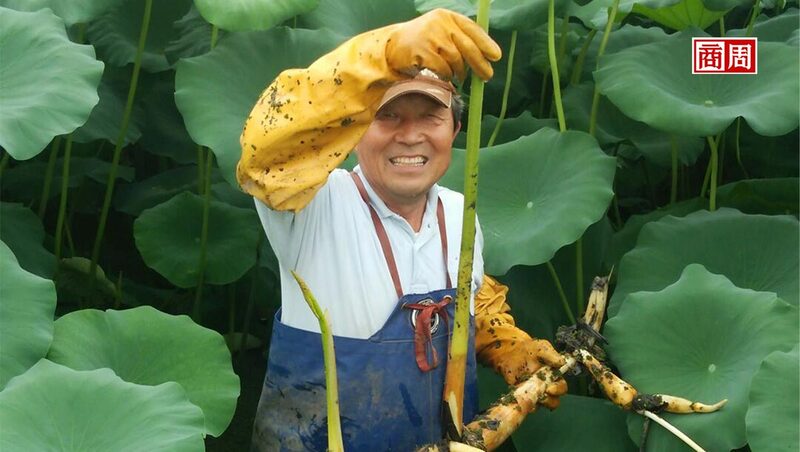 日本博士小農「拜師」迪士尼!把窮人種的菜,賣進紐約、巴黎米其林餐廳