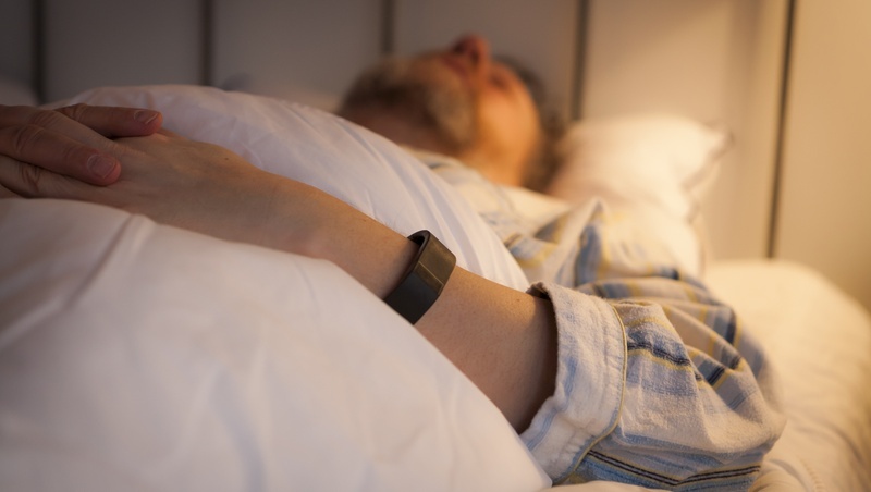 人類未來也能冬眠？日本科學家成功開啟老鼠「睡眠開關」