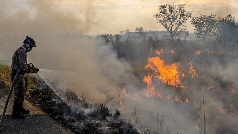 人為破壞釀災》巴西森林大火下黑雨、釀百年來最高溫
