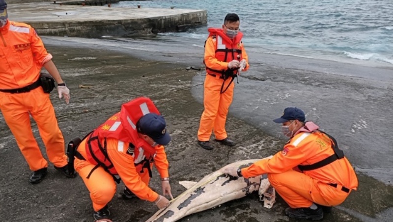 廢棄漁網每年「纏死」30萬隻鯨豚！漁具實名制明年7月強制執行