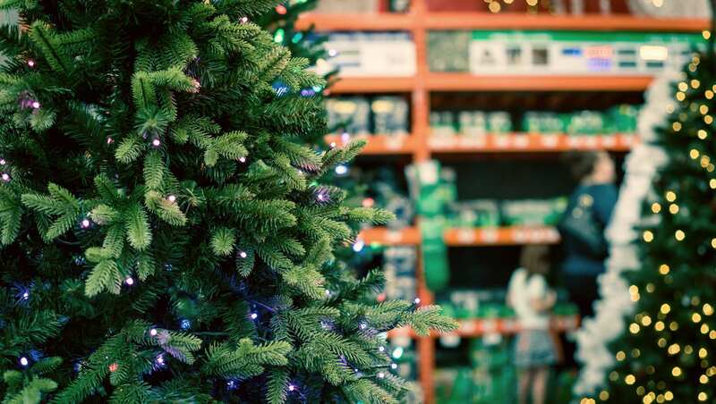 聖誕味最濃的一年！美國人搶買「真聖誕樹」，業績成長50%⋯為什麼？