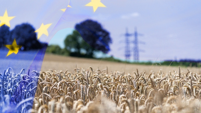 歐盟最新農業政策！將25％預算用於環境保護，會有效嗎？