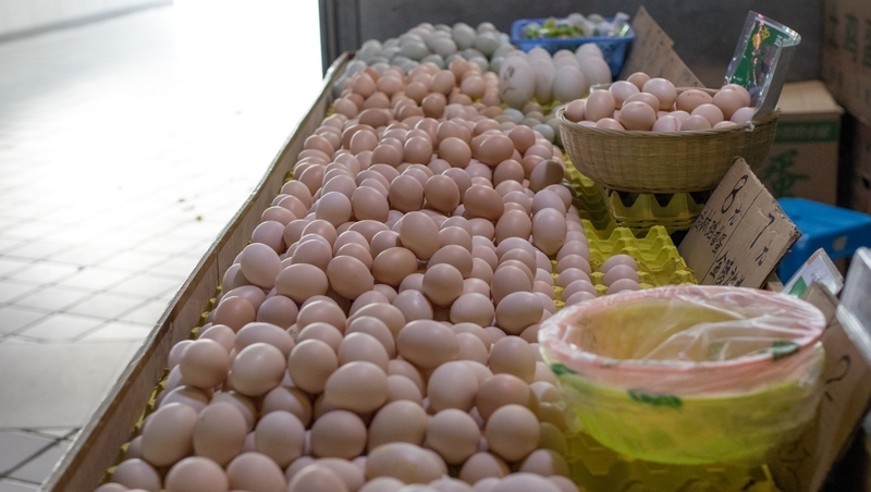 快過年了，北部卻鬧「雞蛋荒」！農委會緊急調度，預計此時供應回穩
