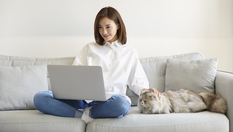 飼主買500萬套房給貓獨居！台灣去年毛小孩比新生兒還多