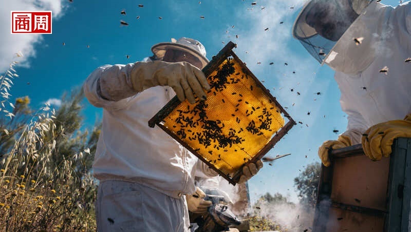 有蜜蜂，才算豪宅？紐約豪宅業者狂推「蜜蜂花園」，發生什麼事