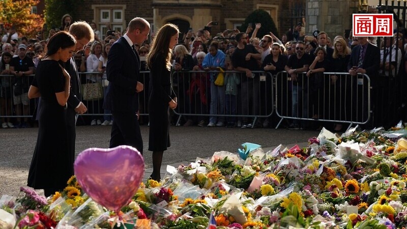 被抨擊不得體，哈利梅根為什麼還在女王喪禮上時刻緊緊牽手？肢體語言專家專業解讀