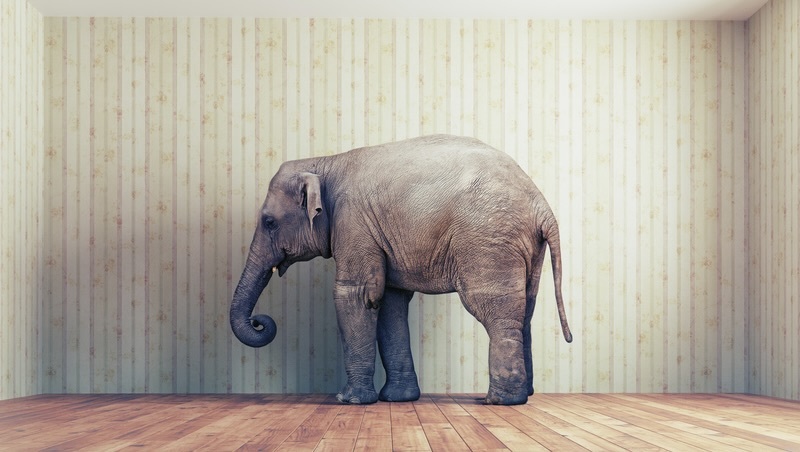 看CNN學英文片語：elephant in the room不是指房間裡的大象
