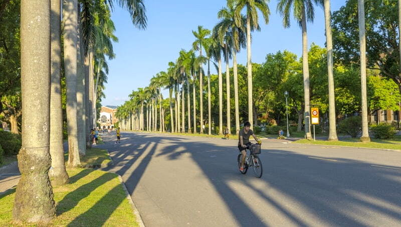 少子化衝擊學生5年少27萬⋯「這類教育」學生數卻創新高、成長近5成