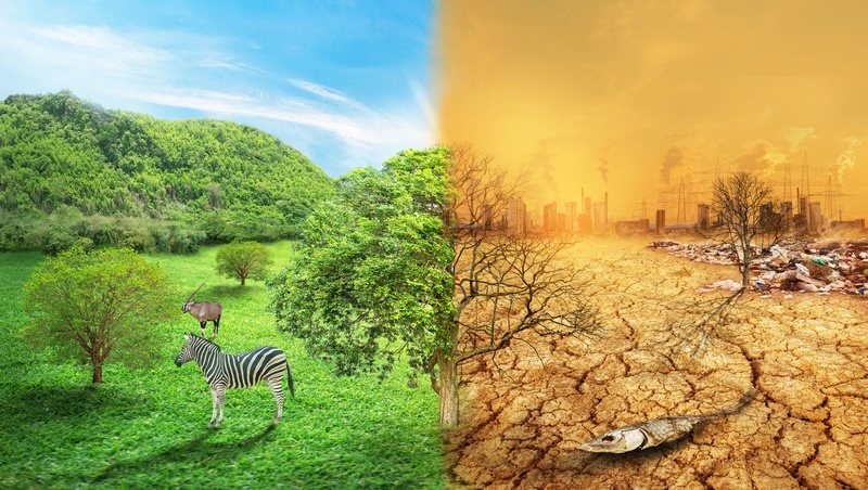 COP30 現場觀察：當 1.5℃ 變成一個越來越安靜的目標