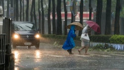 颱風外圍環流重創！8/5停班停課、颱風動態、豪雨特報一次看