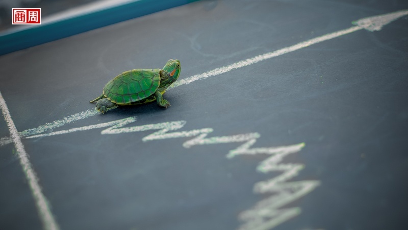 巴菲特的「最無聊」投資法，小白靠它打敗9成專業投資人