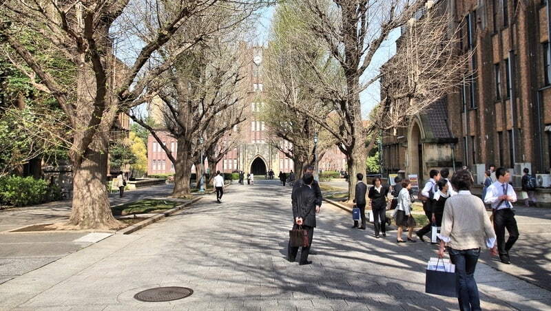 日本大學瘋設「文理融合系」，要培養什麼人才？