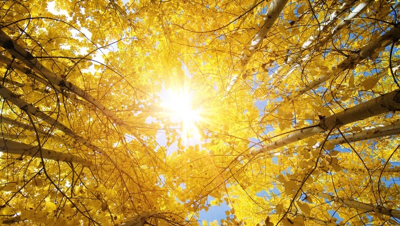 9/23迎秋分》注意「秋燥」！習俗禁忌、食補、養生方法一次看