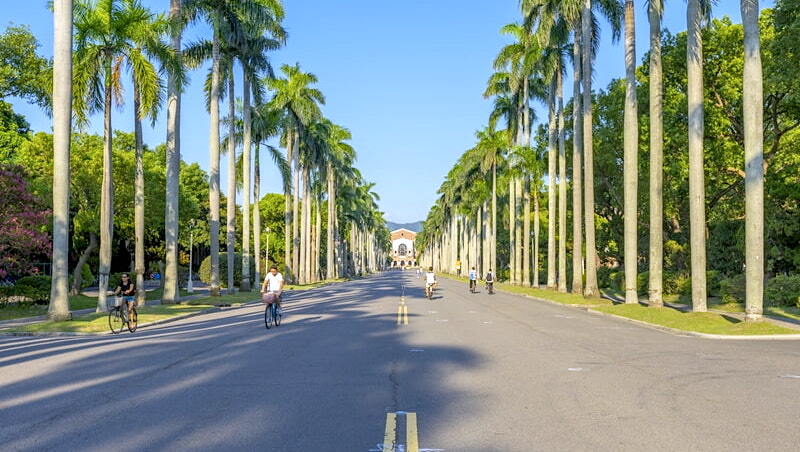 台灣留學生來源國出爐！越南年增逾萬人、馬來西亞下滑8%⋯一表看人數變化