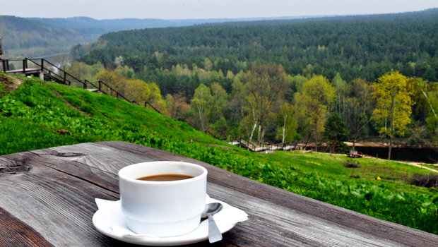 台灣第一個本土咖啡品種誕生！厚實堅果香，「台農1號」風味媲美精品豆