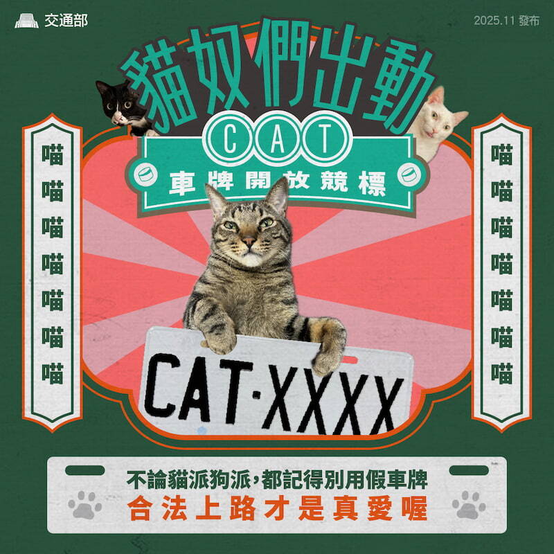 貓奴夢幻車牌「CAT-8888」57.6萬決標！最夯車號排行曝光