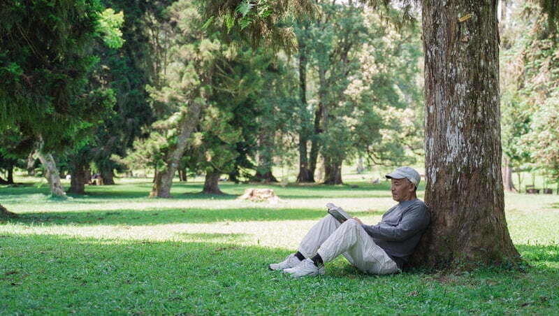 死亡觀念悄悄轉變！越來越多台灣人死後「不留墓、不立碑」，10年成長3倍