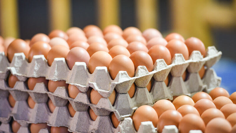 雞蛋編號怎麼看？C、B、F代表什麼？籠飼、非籠飼蛋差別＆選購指南