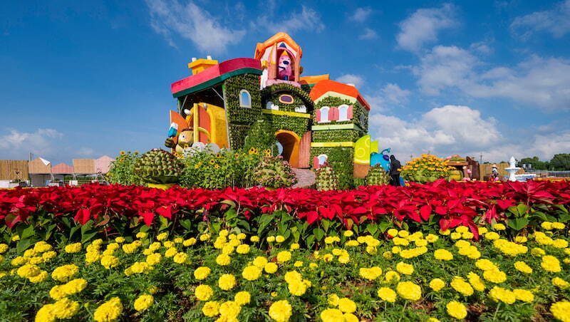 2025新社花海來了！台中花毯節「飛天小女警」主題11/8登場，接駁車、必拍亮點一次看