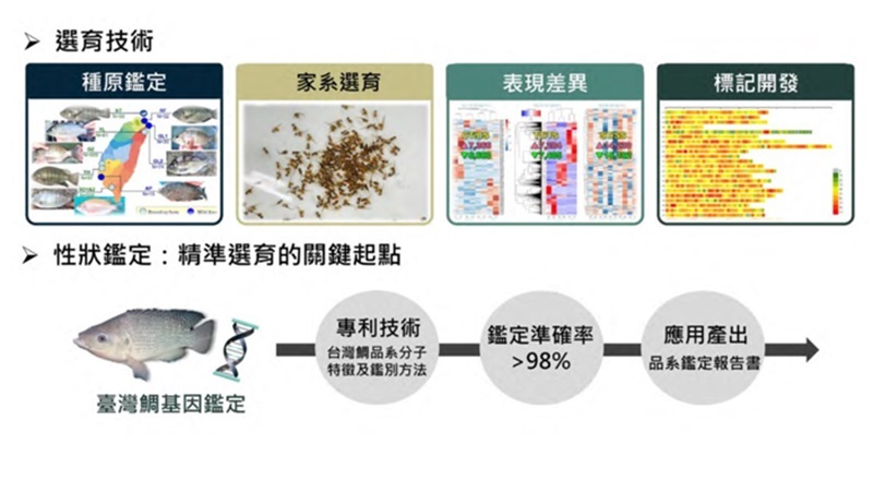 精準育種與AI產地鑑別！國家農業科學獎展現智慧農業競爭力