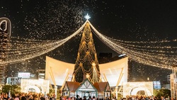 2025高雄聖誕生活節在中央公園！演唱會卡司、節目表、市集活動一次看