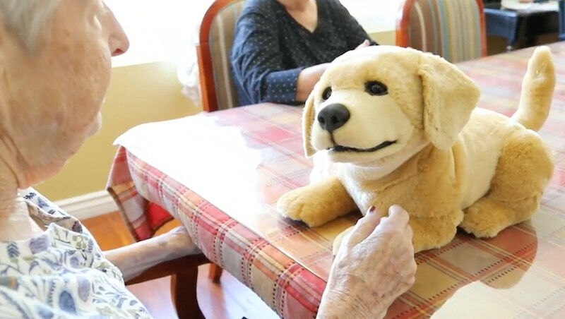 看準超高齡商機，陪伴型機器人成CES亮點！下一個AI金礦是「孤獨感」？