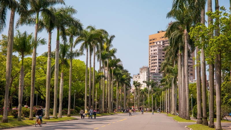 歷史系變AI時代黑馬？大學問點名「5大潛力科系」
