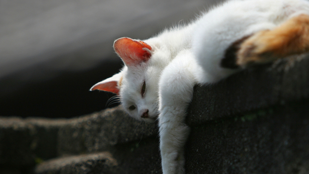 恭喜你！25％清醒時間在神遊，發呆、走神如何讓人更聰明健康