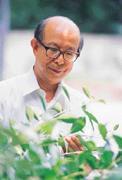 ■對中草藥投入多年而執著不悔,張錦得的研究之路一直很寂寞。 ■對中草藥投入多年而執著不悔,張錦得的研究之路一直很寂寞。