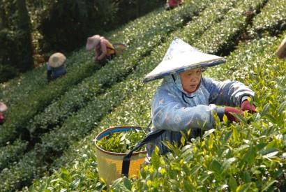 雲端上的無塵室