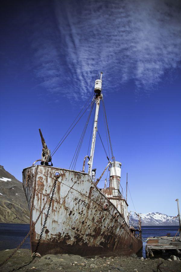 南極圈處處有留下以網捕鯨的殘骸