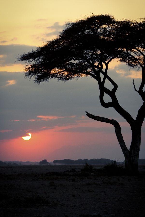非洲的夕陽總是美的不可思議，拿傻瓜相機拍一樣美