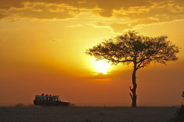 非洲的日子真的可以用追逐動物與夕陽來形容
