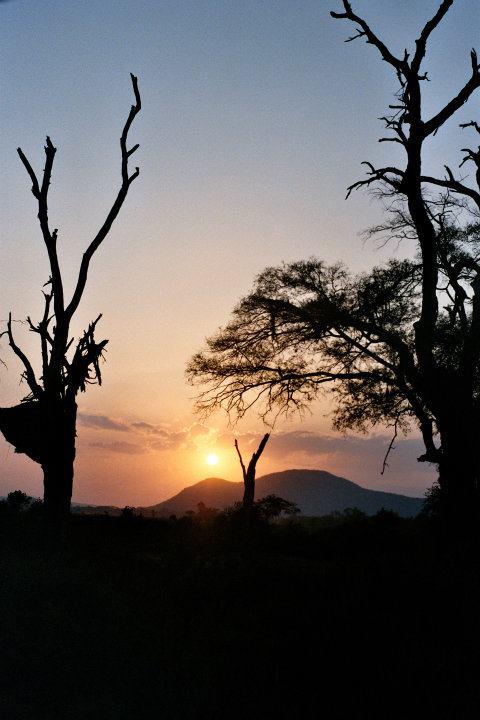夕陽  (Leica M3)