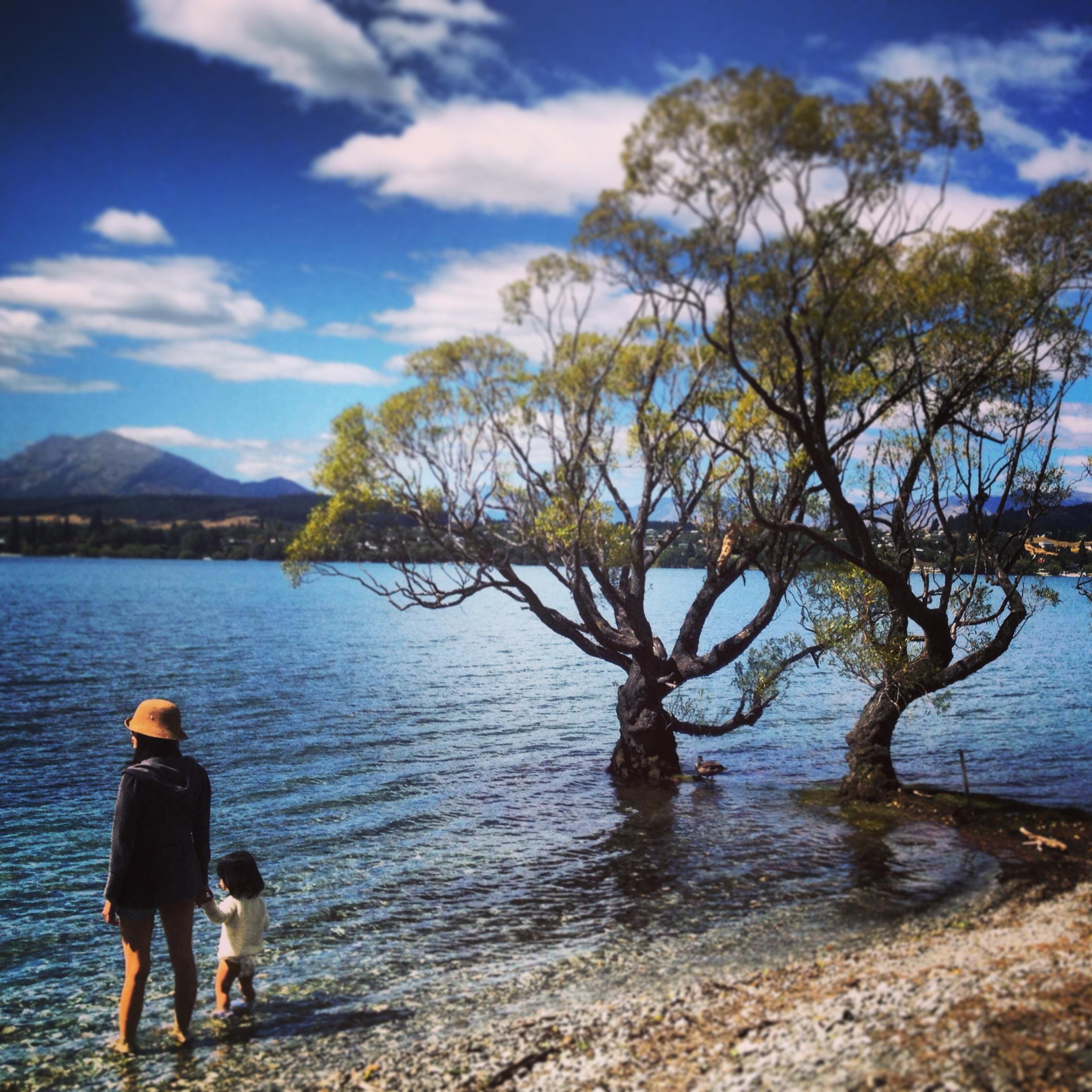 紐西蘭 Wanaka 湖畔 （Apple 4S）
