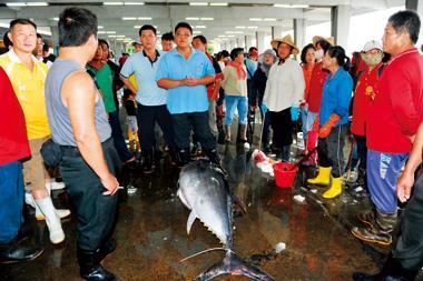 5月12日，海巡署與海軍聯合出動護漁4天後，東港魚市十多個魚販好不容易等到1尾不到200公斤重的瘦小黑鮪魚。