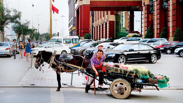 瀋陽老牌高檔飯店門口，豪華名車環伺中，卻停了一輛驢車，仿佛是在為城鎮化之後已遠去的農村氣息，做最後一次見證。