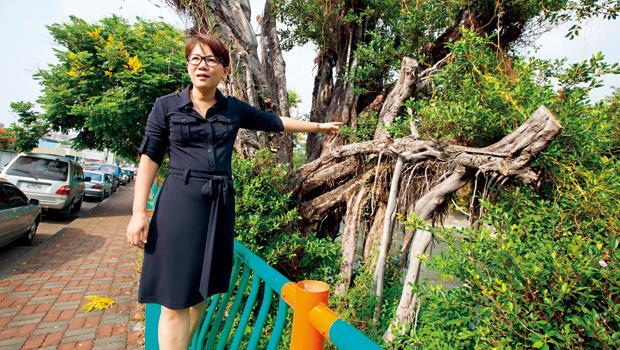 臉書人氣王張美惠從鑽研烹飪的貴婦，變成跑遍全台挺護樹的社運家，支持她的粉絲超過63,800人。
