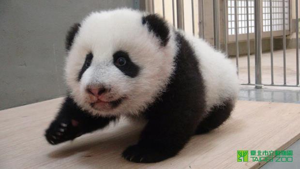 文章主圖