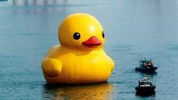 沒聽過「奶頭娛樂」？其實你早被它影響