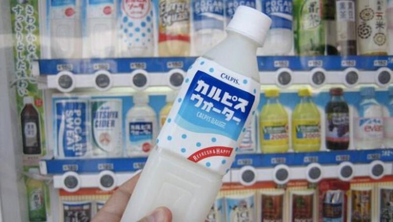 日本國民飲料「可爾必思」的原點，竟來自中國內蒙古