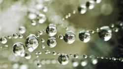 有明牌》大家缺水，他們數鈔！這兩間公司專賺「省水」錢