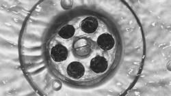 舊公寓和新大樓都一樣！馬桶冒糞水、排水口堵塞...想逃離這些夢魘，最好別買2樓