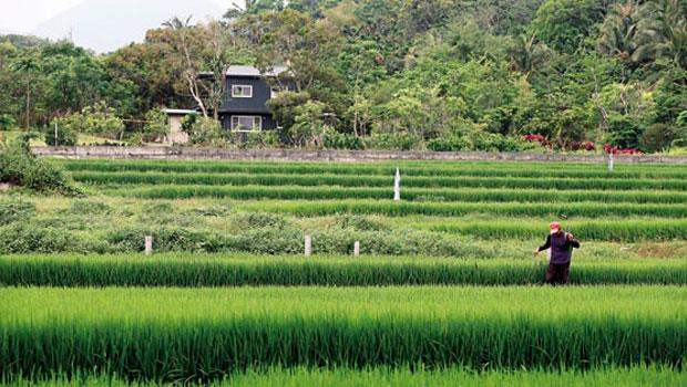 農委會修改法令，讓蓋農舍變困難，過去一地難求的台東縣東河鄉農地，目前傳出交易停擺。