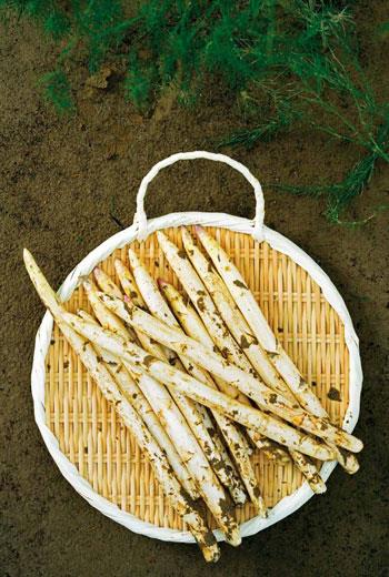 鲜甜白芦笋料理